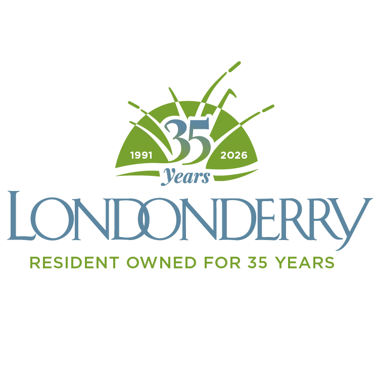 LNDY_FB_Logo